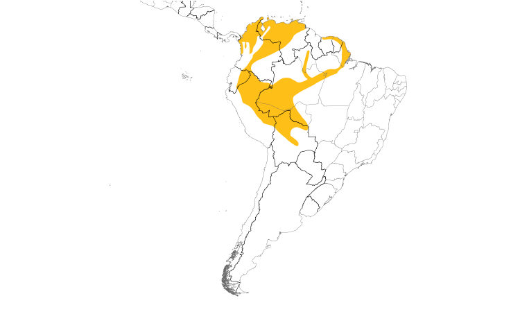 Range Map (South): Spot-breasted Woodpecker