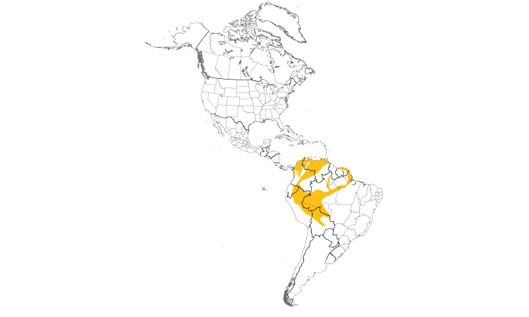 Range Map (Americas): Spot-breasted Woodpecker