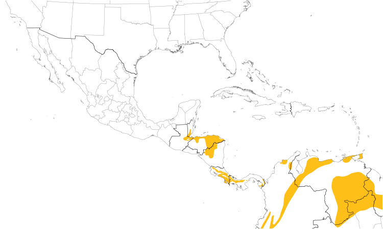 Range Map (Central): Brown Violetear