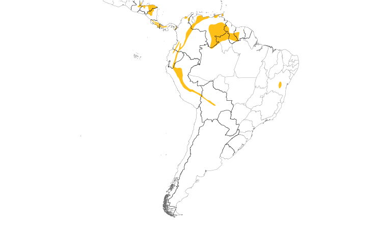 Range Map (South): Brown Violetear