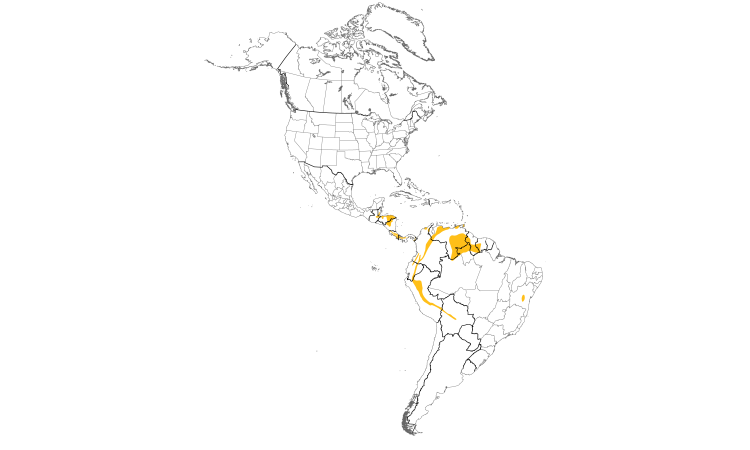 Range Map (Americas): Brown Violetear