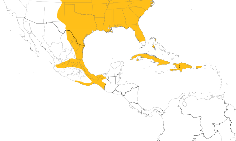 Range Map (Central): Northern Bobwhite
