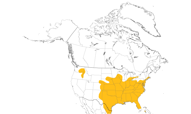 Range Map (North): Northern Bobwhite