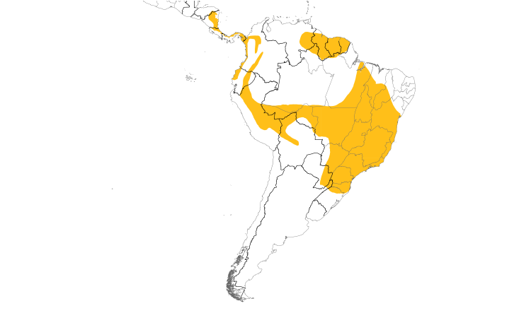 Range Map (South): Long-tailed Tyrant