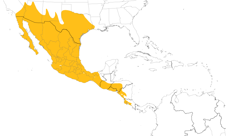 Range Map (Central): Inca Dove