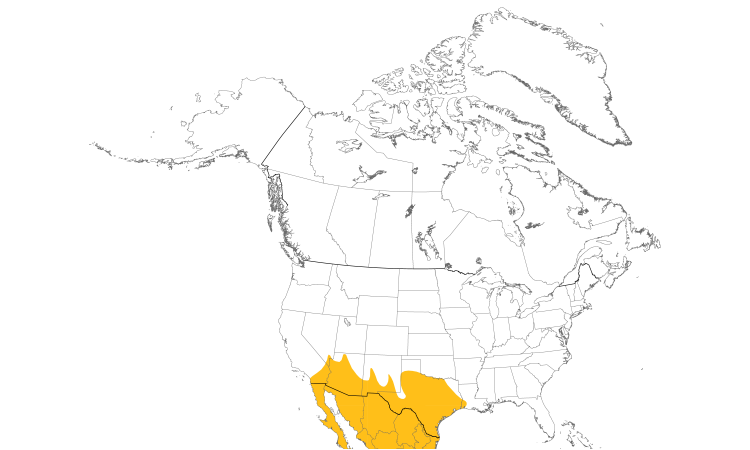Range Map (North): Inca Dove