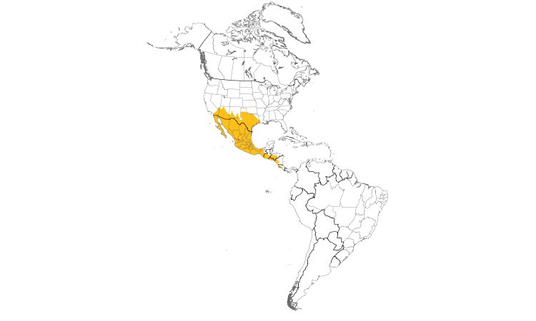 Range Map (Americas): Inca Dove