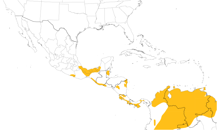 Range Map (Central): Plain-breasted Ground Dove