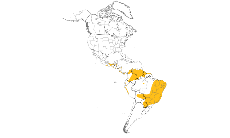 Range Map (Americas): Plain-breasted Ground Dove