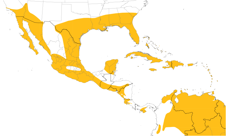Range Map (Central): Common Ground-Dove