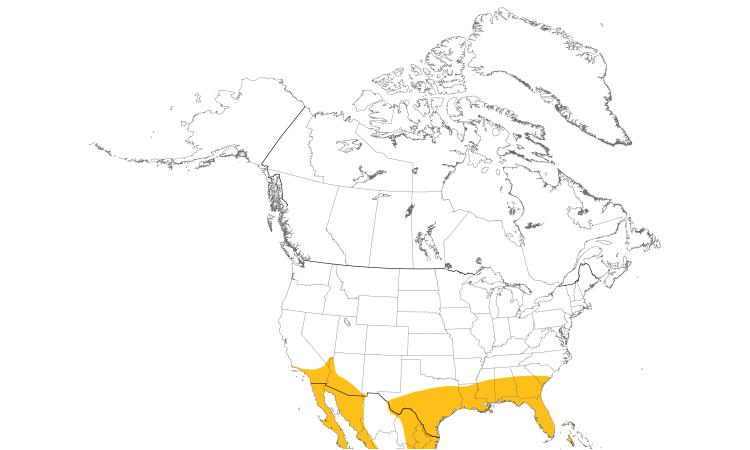 Range Map (North): Common Ground-Dove
