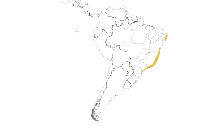 Range Map (South): Black-cheeked Gnateater