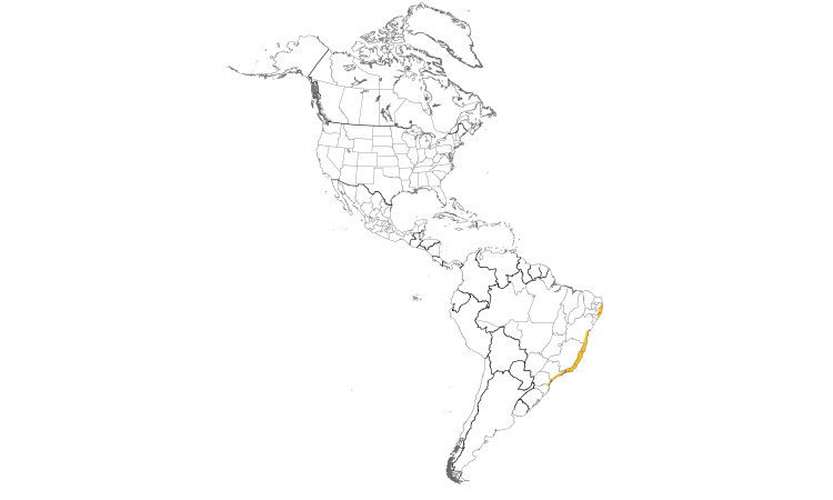Range Map (Americas): Black-cheeked Gnateater