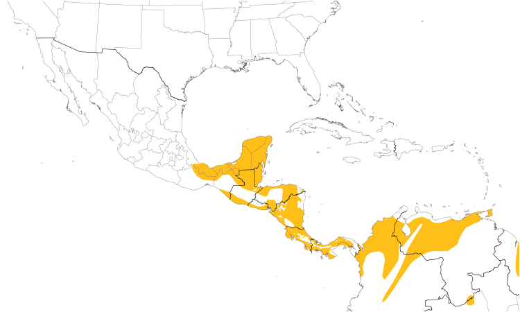 Range Map (Central): Tropical Pewee