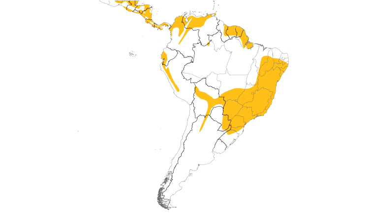 Range Map (South): Tropical Pewee