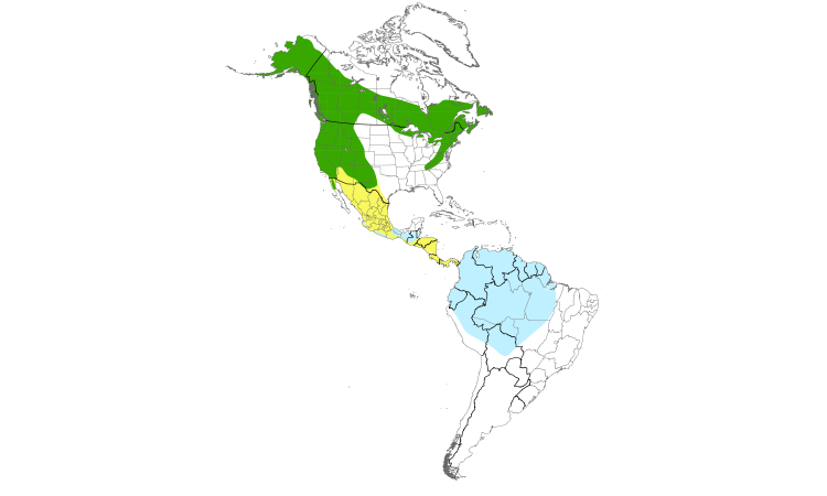 Carte de répartition  (Americas): Moucherolle à côtés olive