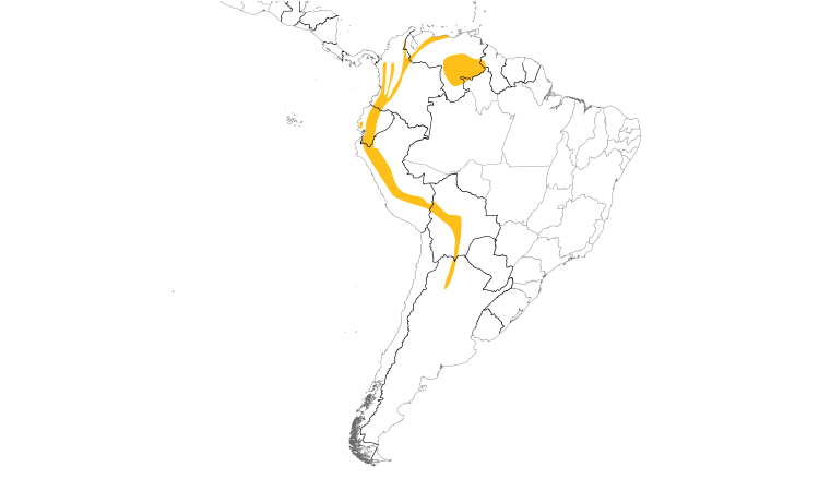 Range Map (South): Smoke-colored Pewee
