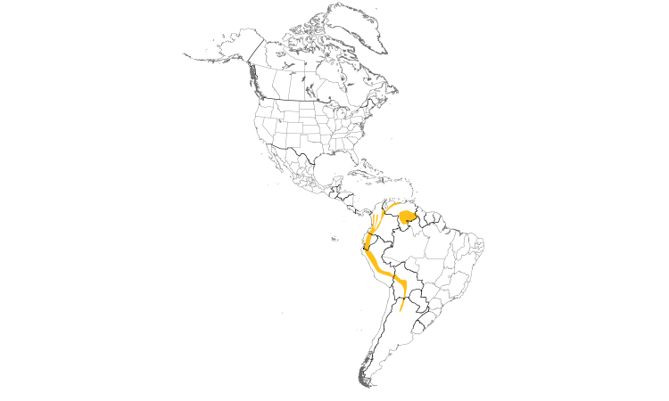 Range Map (Americas): Smoke-colored Pewee