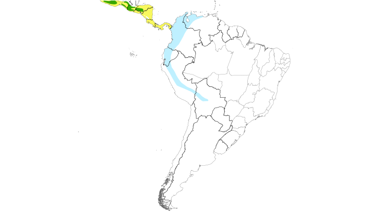 Range Map (South): Western Wood-Pewee