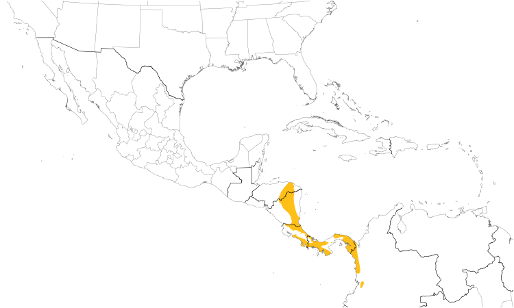 Range Map (Central): White-ruffed Manakin