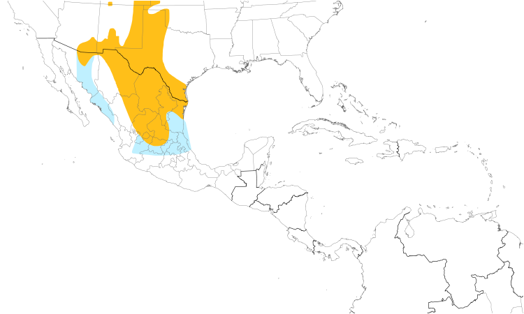 Range Map (Central): Chihuahuan Raven