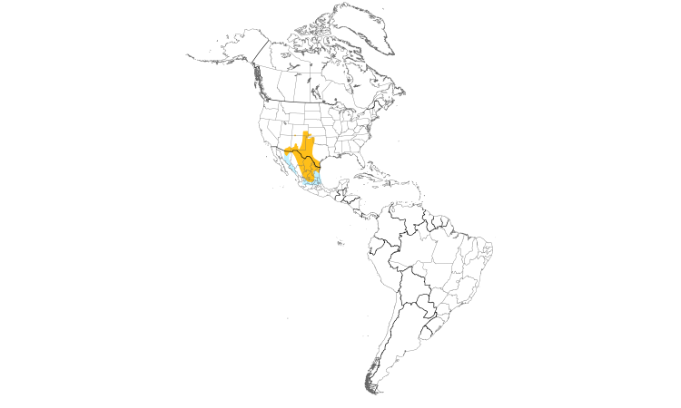 Range Map (Americas): Chihuahuan Raven
