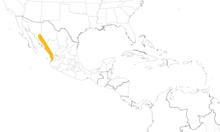 Range Map (Central): Sinaloa Crow