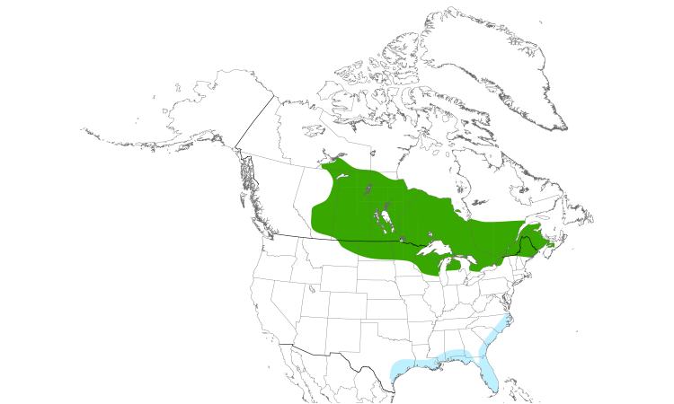 Range Map (North): Yellow Rail