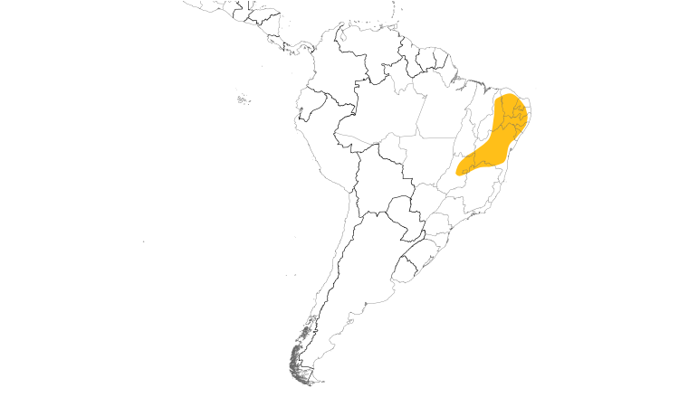 Range Map (South): Gray-headed Spinetail