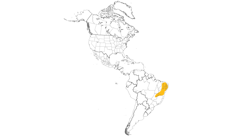 Range Map (Americas): Gray-headed Spinetail