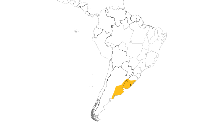 Range Map (South): Sulphur-throated Spinetail