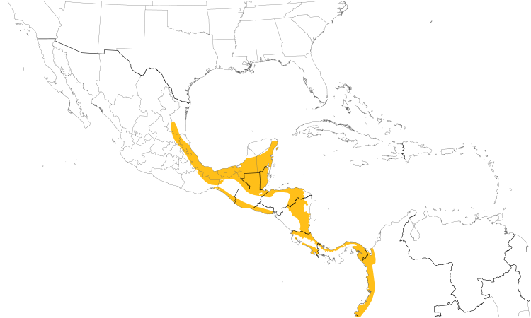 Range Map (Central): Great Curassow