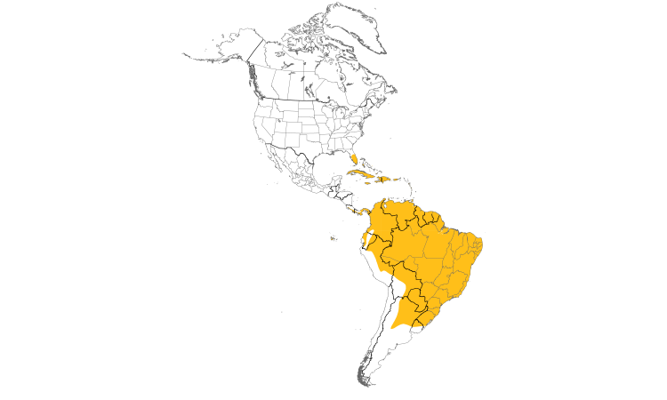 Range Map (Americas): Smooth-billed Ani