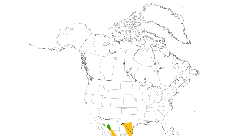 Range Map (North): Groove-billed Ani