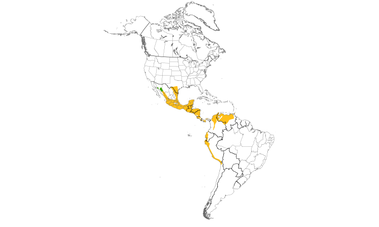 Range Map (Americas): Groove-billed Ani