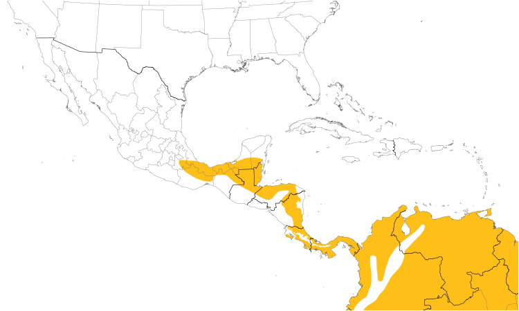 Range Map (Central): Little Tinamou