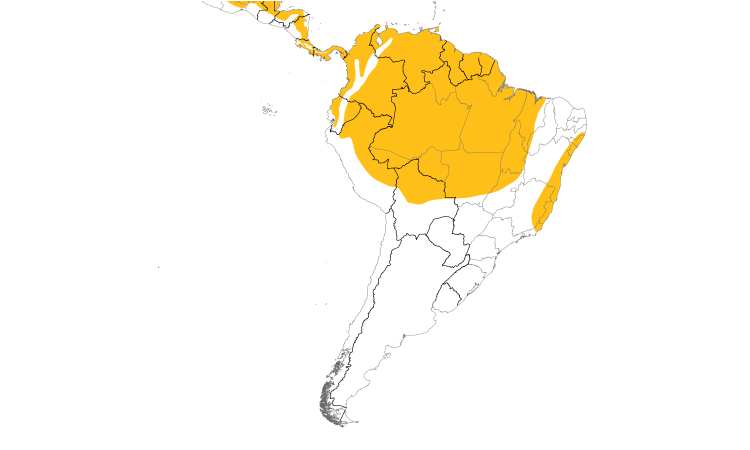 Range Map (South): Little Tinamou