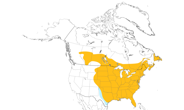 Carte de répartition  (North): Geai bleu