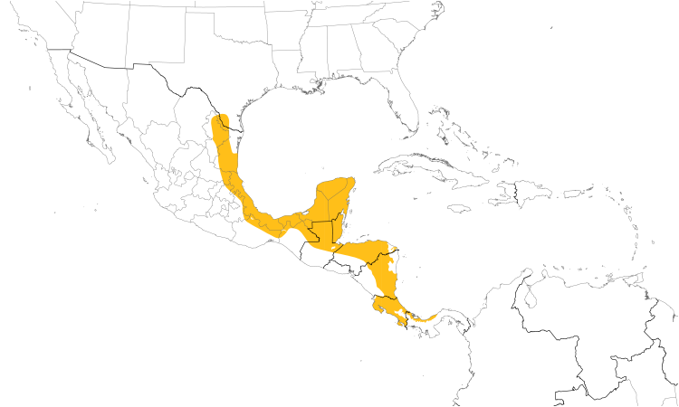 Range Map (Central): Brown Jay