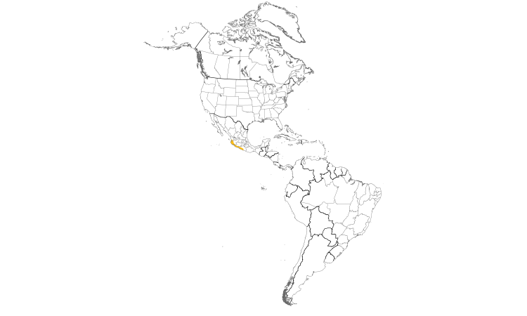 Range Map (Americas): San Blas Jay
