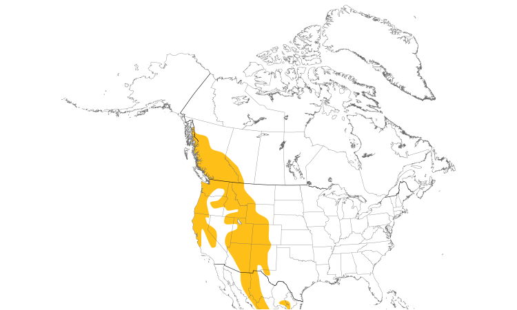 Range Map (North): Quiz Species