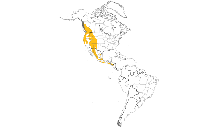Range Map (Americas): Quiz Species
