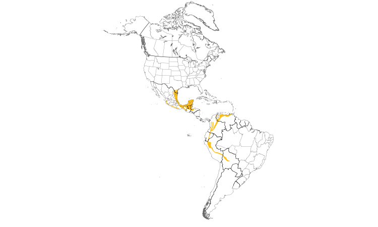 Range Map (Americas): Green Jay