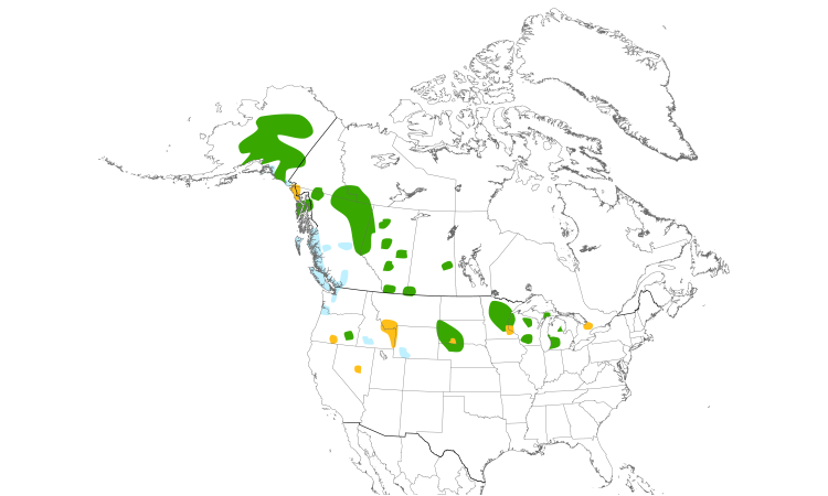 Range Map (North): Trumpeter Swan