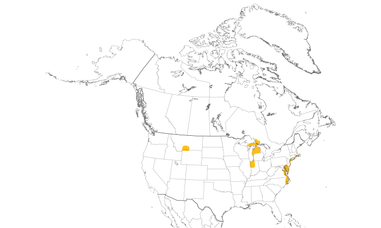 Range Map (North): Mute Swan