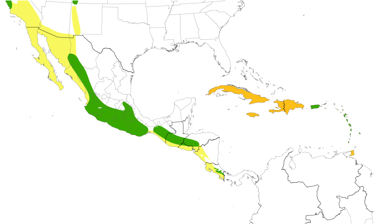 Range Map (Central): Black Swift