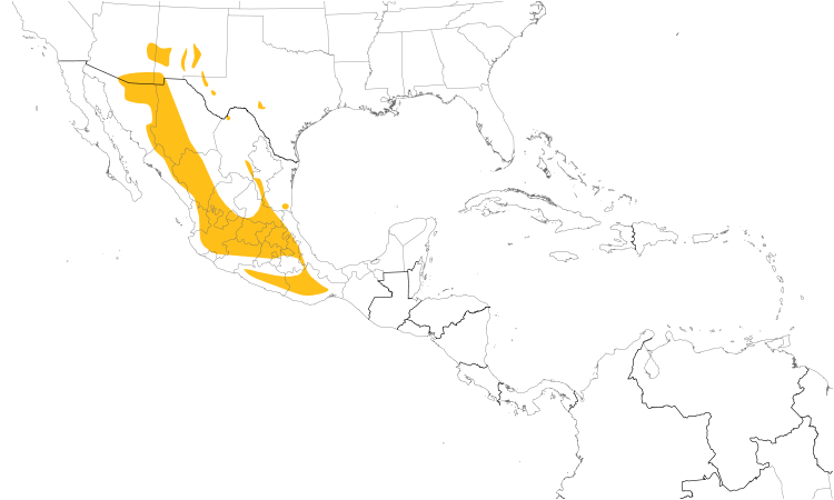 Range Map (Central): Montezuma Quail