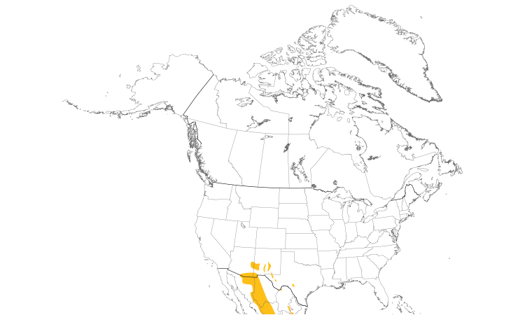 Range Map (North): Montezuma Quail