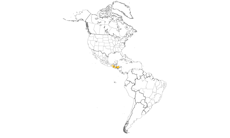 Range Map (Americas): Ocellated Quail