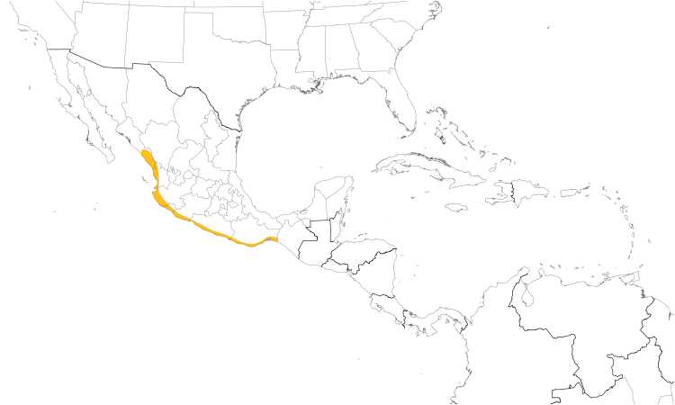 Range Map (Central): Flammulated Flycatcher